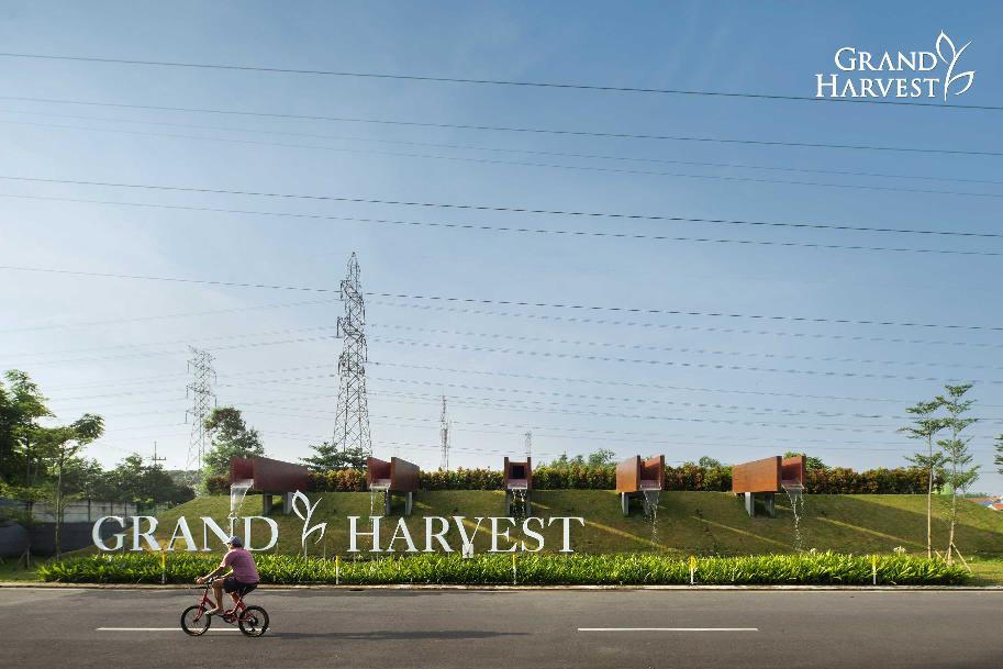 grand harvest